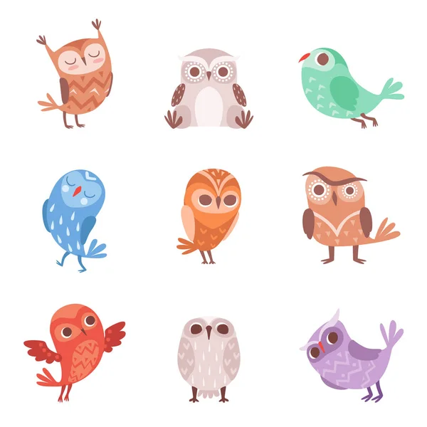 Schattige cartoon uilen set, prachtige kleurrijke owlets vector illustraties — Stockvector