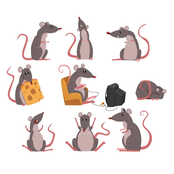Leuke grijze muis set, grappig knaagdier karakter in verschillende situaties vector illustraties — Stockvector