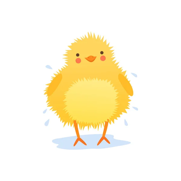 Bayi ayam yang lucu gemetar air setelah mandi, kartun lucu karakter burung vektor Ilustrasi pada latar belakang putih - Stok Vektor