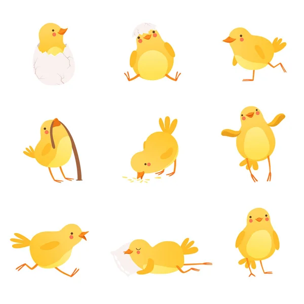 Conjunto de divertido pollo amarillo en varias situaciones. Personaje de dibujos animados de pajarito. Diseño vectorial plano aislado para postal, pegatina o libro infantil — Archivo Imágenes Vectoriales