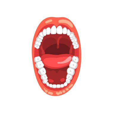 İnsan dişleri, açık ağız vektör çizim beyaz bir arka plan üzerinde
