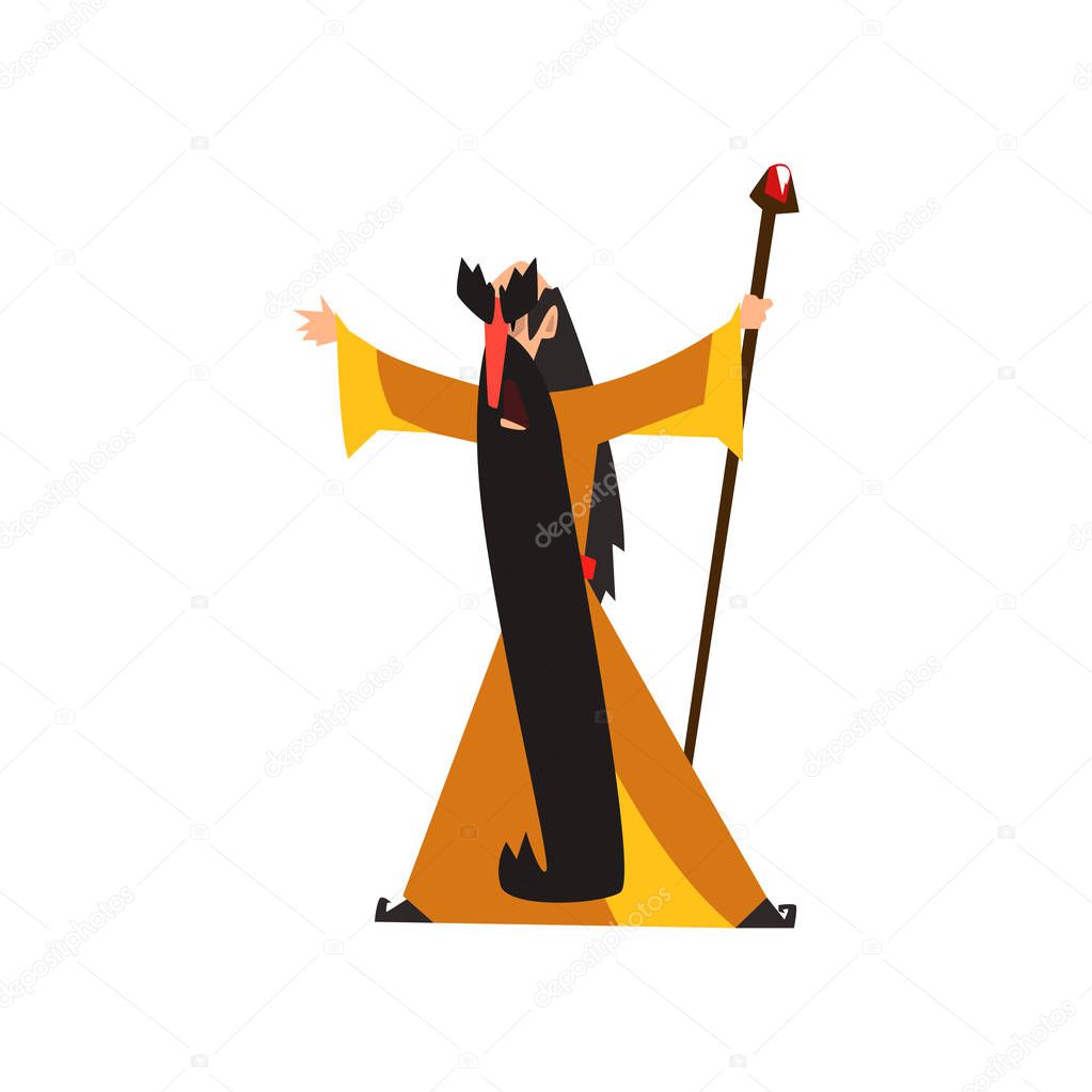 Wizard holding a magic staff, fantasy magical character vector Illustration on a white background