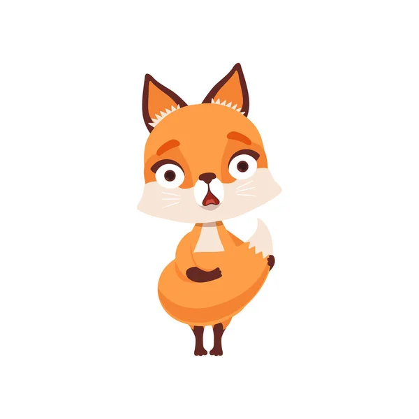 Frightened fox character, funny forest animal vector Illustration on a white background — Stock Vector