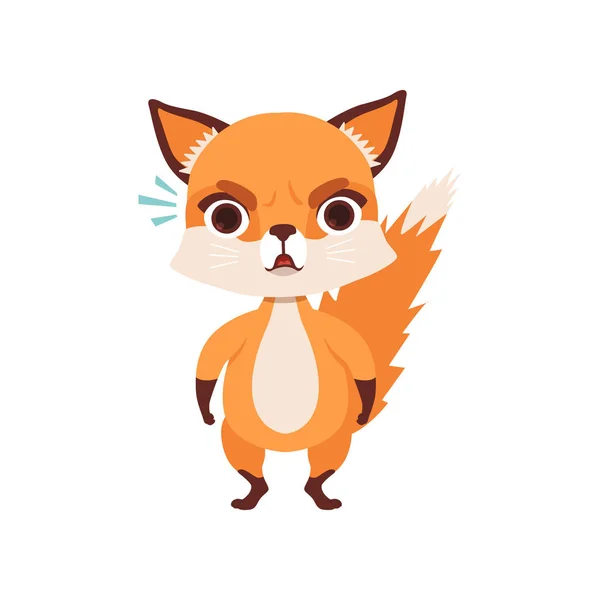 Cute angry fox character, funny forest animal vector Illustration on a white background — Stock Vector