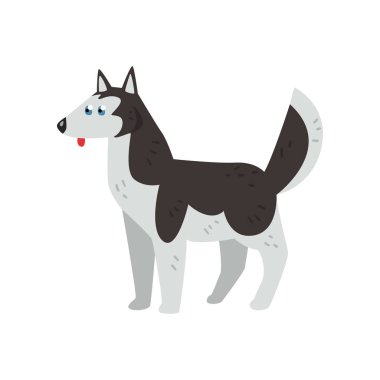 Sibirya husky köpek karakteri, beyaz bir arka plan üzerinde safkan köpek vektör çizimler