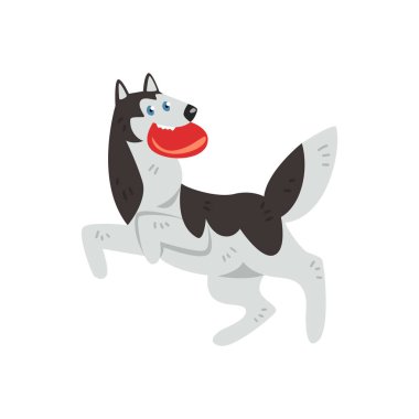 Sibirya husky köpek karakteri beyaz zemin üzerine kırmızı yuvarlak yüzey vektör çizimler ile oynarken