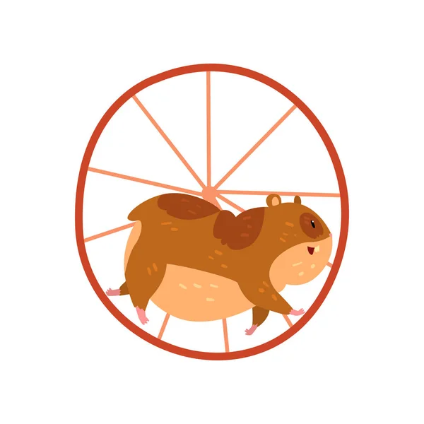 Kreskówka chomik znaków uruchomiony w koło, śmieszne brązowy gryzoń zwierząt domowych wektor ilustracja na białym tle — Wektor stockowy