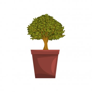 Portulacaria kapalı ev bonsai ağacı kahverengi tencerede, dekorasyon ev iç vektör çizim üzerinde beyaz bir arka plan öğesi