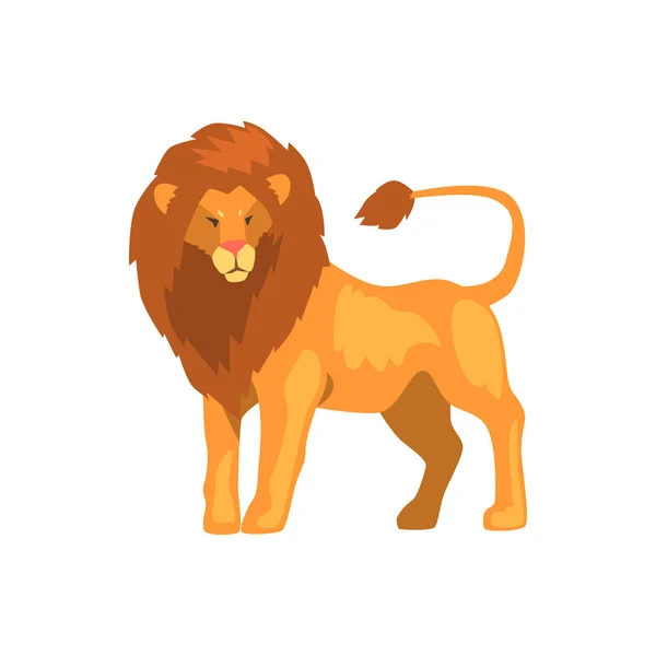 Formidable lion, wild predatory animal vector Illustration on a white background — Stock Vector