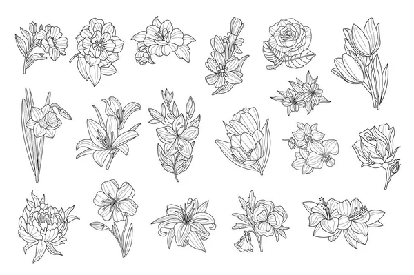 Set mooie monochroom bloemen. Lelie, tulp, pioenroos, roos, narcis, calendula, viooltje, petunia. Schetsmatig pictogrammen. Hand getekend vectorelementen voor tatoeage of decor — Stockvector
