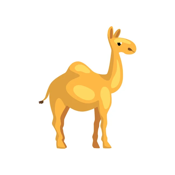 Egyptische kameel. Stripfiguur van woestijn dier. Schepsel met bult op zijn rug. Grafisch element voor promo poster van reisbureau. Platte vector design — Stockvector