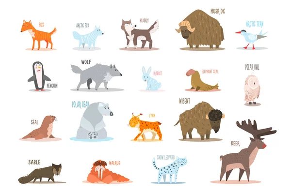 Σετ από ζώα της Αρκτικής και της Ανταρκτικής. Αλεπού, λύκος, κουνέλι, πιγκουίνος, sable, θαλάσσιο ίππο, αρκούδα, σκύλος χάσκεϋ, musk βόδι, στέρνα, ελέφαντα, κουκουβάγια, ελάφια, lynx, leopard χιονιού. Επίπεδη διανυσματική σχεδίαση — Διανυσματικό Αρχείο