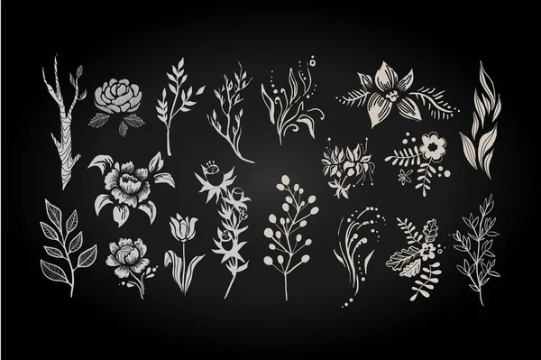 Conjunto floral, coleção gráfica com folhas brancas e elementos de flores ilustração vetorial — Vetor de Stock