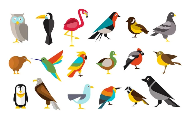 Vários pássaro conjunto colorido vetor ilustrações — Vetor de Stock