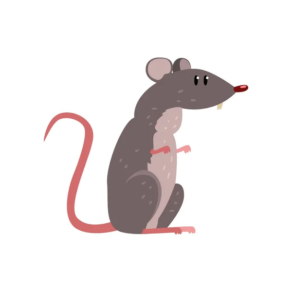 Ratón gris lindo, divertido vector de carácter de roedor Ilustración sobre un fondo blanco — Vector de stock