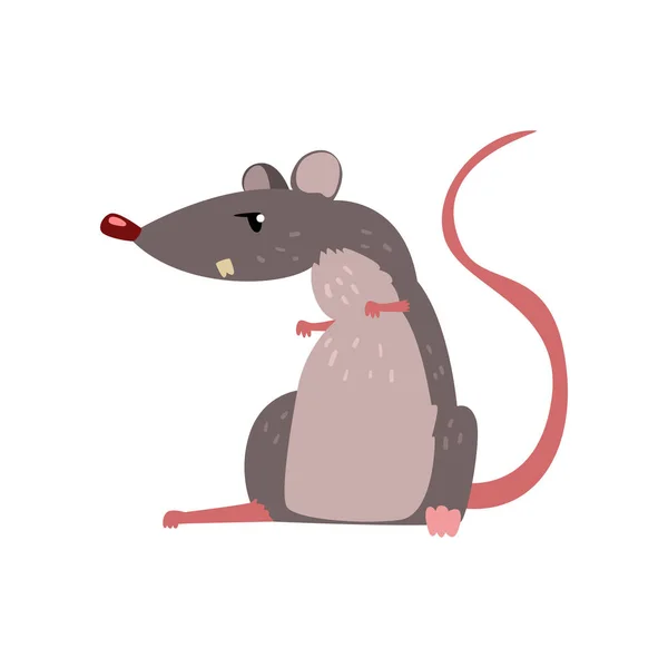 Boos grijze muis, schattige knaagdier karakter vector illustratie op een witte achtergrond — Stockvector
