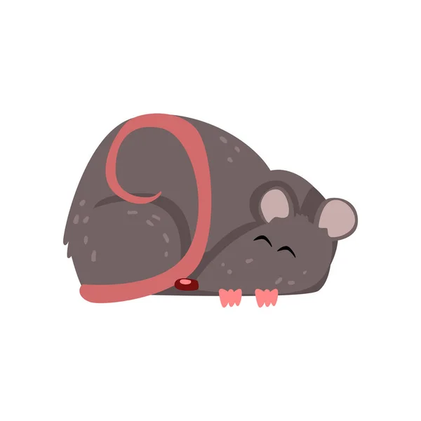 Cute grey mouse sleeping, funny rodent character vector Illustration on a white background — Stock Vector