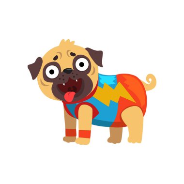 Komik pug köpek karakteri beyaz zemin üzerinde bir süper kahraman kostümü vektör illüstrasyon
