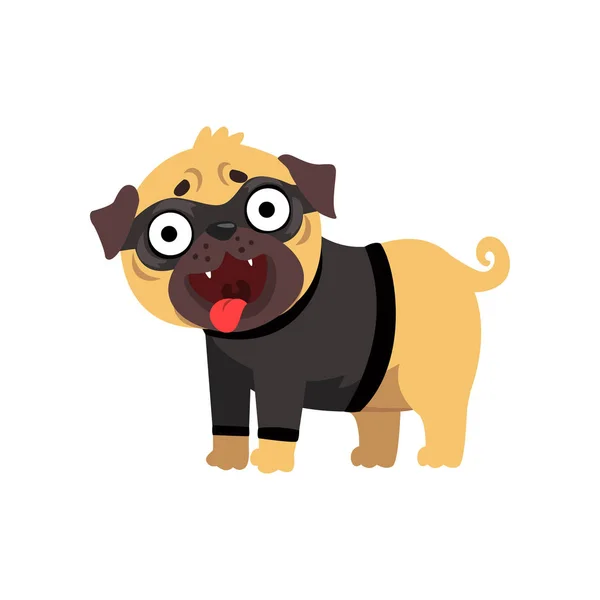 Personaje divertido perro pug vestido como ladrón, perro divertido en vector máscara negro Ilustración sobre un fondo blanco — Archivo Imágenes Vectoriales