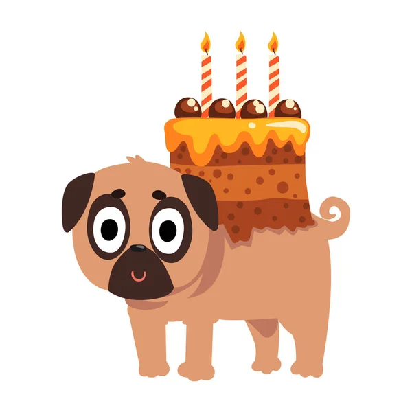 Roztomilý funny Mops pes charakter s slavnostní dort se svíčkami na jeho zadní vektorové ilustrace na bílém pozadí — Stockový vektor