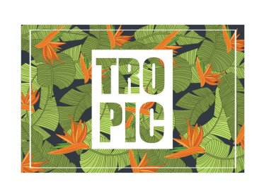 Tropic, parlak tropikal tasarım egzotik çiçek ve yaprak, trendy yaz afiş, poster renkli vektör çizim ile