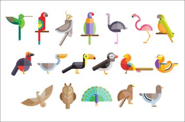 Farklı kuşlar renkli kümesi. Pelikan, baykuş, Tukan, Kartal, tavus kuşu, papağan, Şahin, flamingo, güvercin, sülün. Vahşi yaratıklar. Geometrik düz stil vektör simgeleri