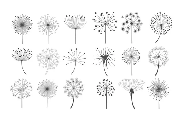 Flores de dente de leão com conjunto de sementes fofas, silhuetas florais elementos de design ilustração vetorial — Vetor de Stock