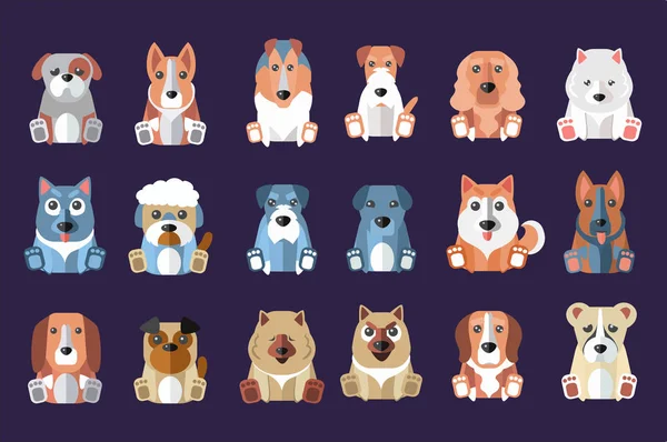 Conjunto vetorial plano de cães bonitos de raças diferentes. Animais domésticos. Design para livro de crianças, jogo móvel, impressão ou cartão postal — Vetor de Stock