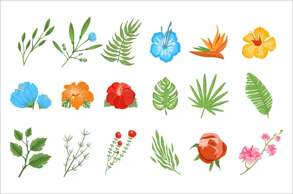 Platte vector set van tropische planten. Exotische bloemen met heldere bloemblaadjes en kleine takken met bladeren. Plantkunde thema. Natuurlijke elementen — Stockvector