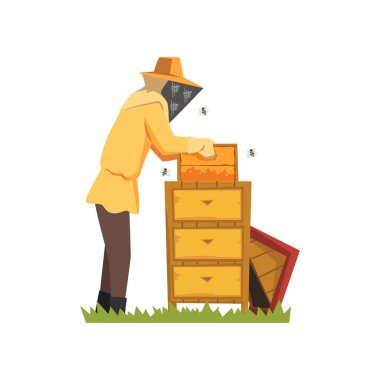 Arı kovanı, bal üretim süreci vektör çizim beyaz bir arka plan üzerinde koruyucu kıyafetli arıcı