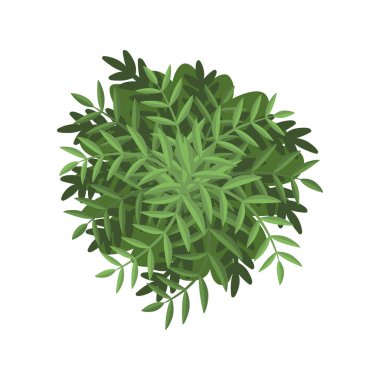 Yeşil bush, peyzaj tasarım öğesi, beyaz bir arka plan üzerinde üstten görünüm vektör çizim