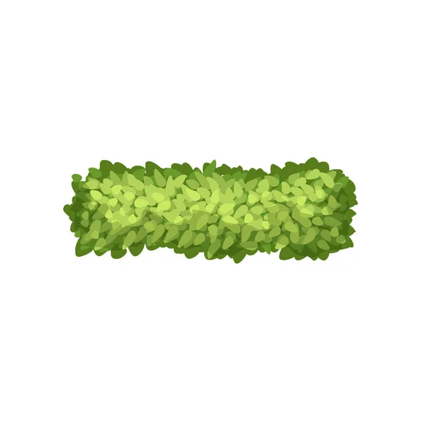 Hierba verde, elemento de diseño de paisaje, vector de vista superior Ilustración sobre un fondo blanco — Vector de stock