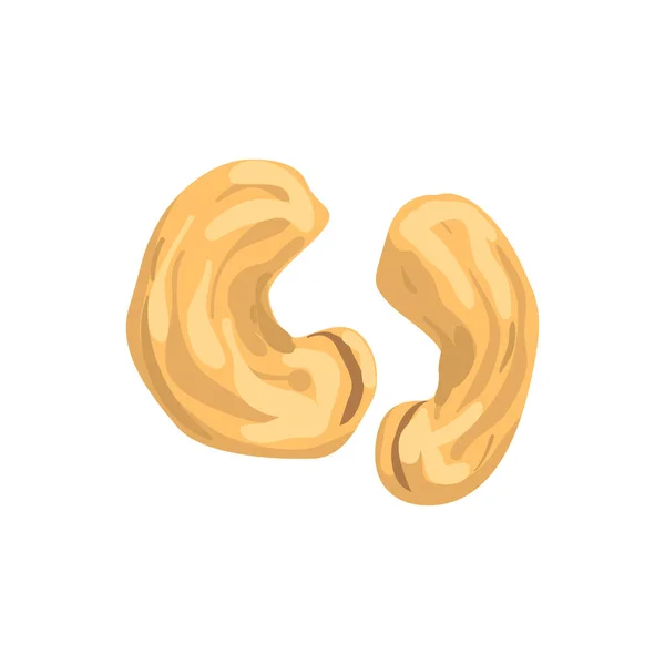 Cashew-nötter, näringsrik naturprodukt vektor Illustration på vit bakgrund — Stock vektor