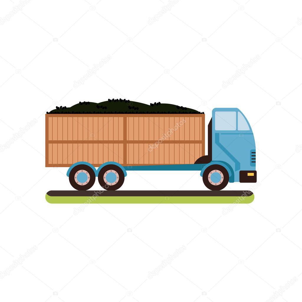 Truck with ripe olives vector Illustration on a white background