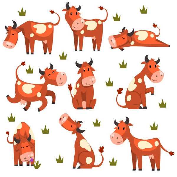 Brown macchiato mucca set, fattoria carattere animale in varie pose vettore Illustrazioni su uno sfondo bianco — Vettoriale Stock