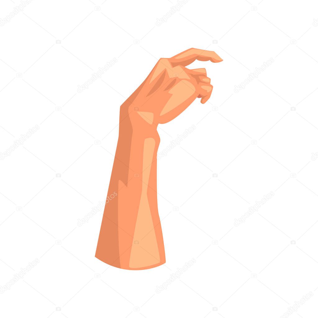 Male hand, human body part vector Illustration on a white background