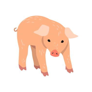 Küçük komik domuz karikatür vektör çizim beyaz bir arka plan