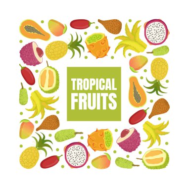 Kare Şekil Vektörü İllüstrasyonunun Taze Tatlı Olgun Egzotik Meyveli Tropikal Meyve Bayrak Şablonu