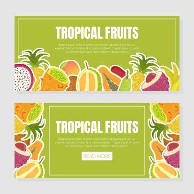Taze Olmuş Egzotik Meyve Vektörü İllüstrasyonlu Tropik Meyve İniş Sayfası Şablonu
