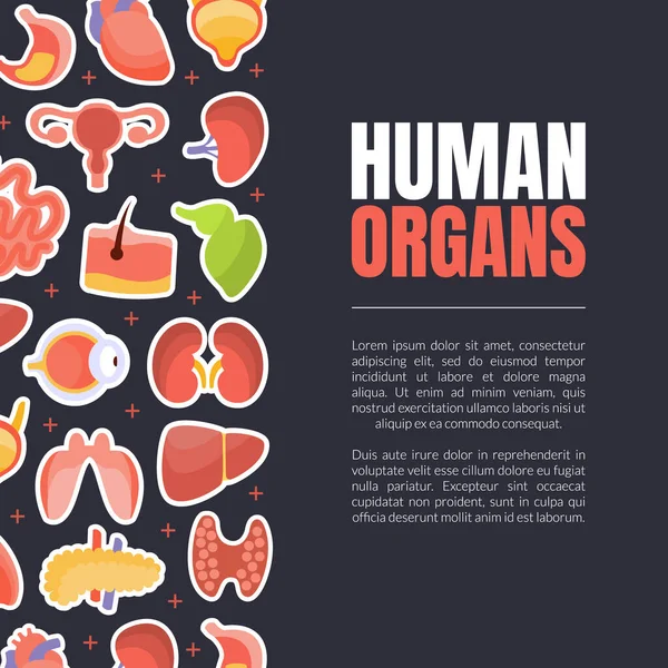 Plantilla de banner o landing page de órganos humanos con espacio para texto y órganos internos, salud e ilustración de vectores médicos — Archivo Imágenes Vectoriales