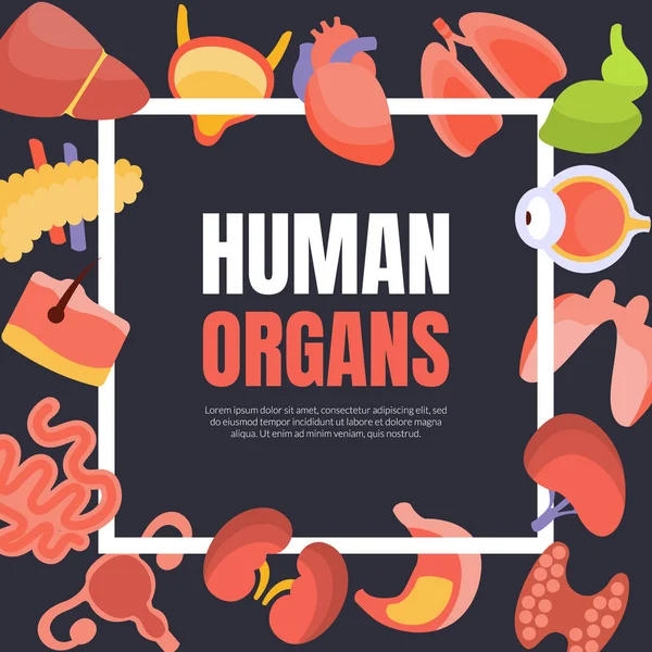 Banner-Vorlage für menschliche Organe mit Platz für Text und innere Organe, Gesundheitswesen und medizinische Vektorillustration — Stockvektor