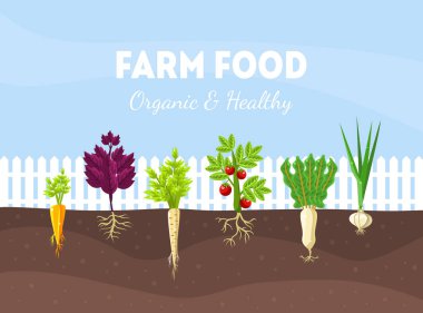 Farklı sebzelerle dolu bir yatak. Vektör illüstrasyonu.