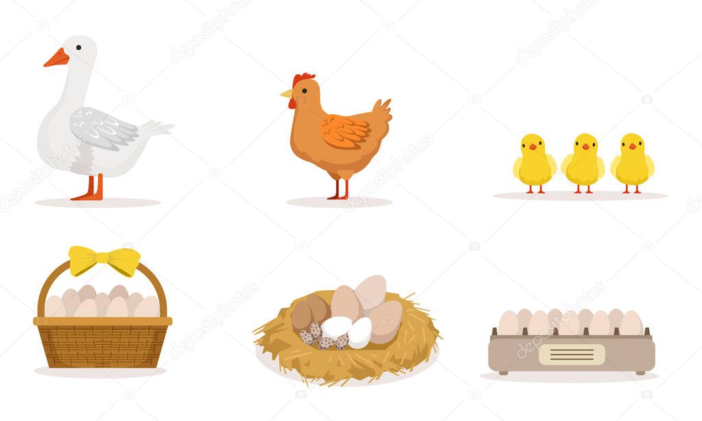 Poultry Farm With Goose, Hen, Three Little Baby Birds And Different Eggs Vector Illustration Set Isolated On White Background