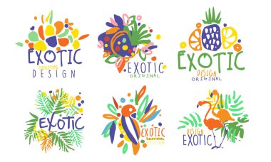 Egzotik meyveli ve kuşlu logolar. Vektör illüstrasyonu.