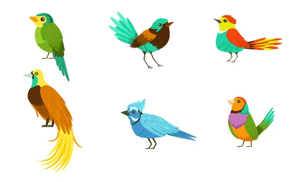 Set Con Diferentes Aves Con Bright Colorido Plumage Vector Illustration Personaje de Dibujos Animados — Archivo Imágenes Vectoriales