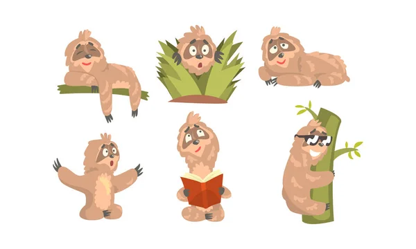Sloth Cartoon Character Εκφράζοντας διαφορετικά συναισθήματα Vector Set — Διανυσματικό Αρχείο
