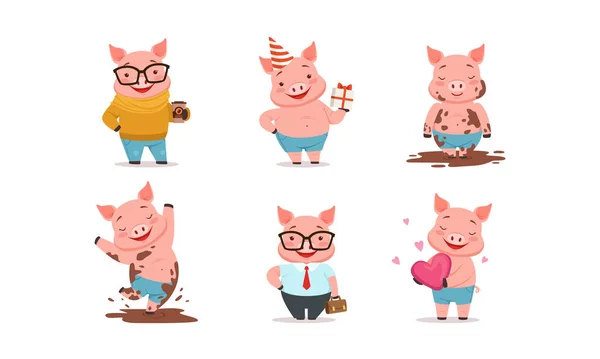 Funny Pigs Characters Drinking Coffee and Holding Gift Box Vector Set — Stock Vector
