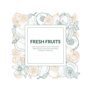 Farklı meyvelerin kontürlerinden kare çerçeve. Vektör illüstrasyonu.