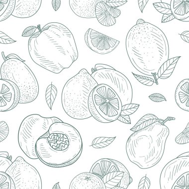 Elma, limon, armut ve şeftali hatlarının kusursuz deseni. Vektör illüstrasyonu.