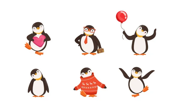 可爱的企鹅卡通人物形象矢量集。 北极生物穿着汗衫 — 图库矢量图片